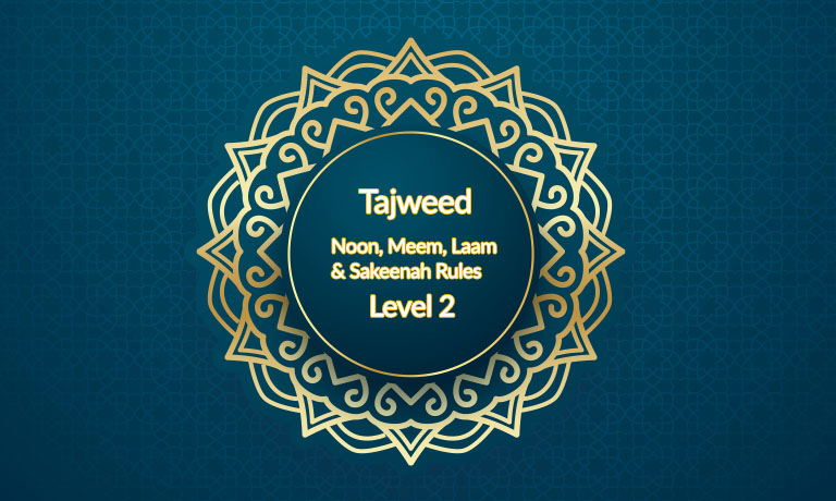 Noon, Meem, Laam & Sakeenah Rules - Level 2